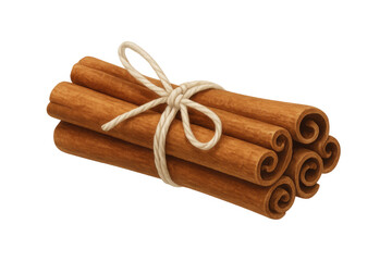 Aromatic cinnamon sticks bound with twine, displaying rustic texture against crisp transparent surface