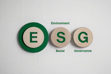 ESG Investing Environmental Social Governance Principles