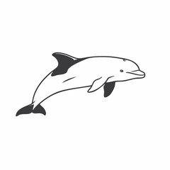 Obraz premium Elegant Monochrome Dolphin Leaping Gracefully