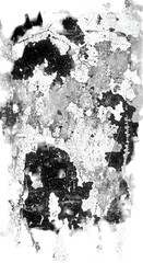 Abstract Monochrome Grunge Texture Background Design Isolated Illustration