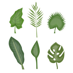 Tropical Leaf Vector Set Collection, Monstera and Palm Leaves Design Vector Set Illustration