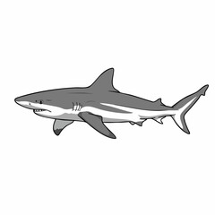 Fototapeta premium Cartoon Illustration of a Great White Shark Swimming Gracefully.