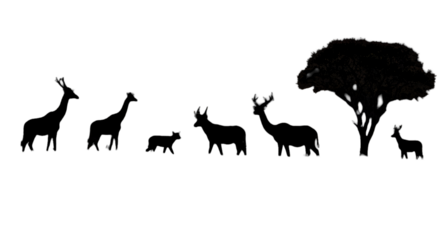 Abstract Illustration Of A Night Landscape Silhouette With Tree Black Background