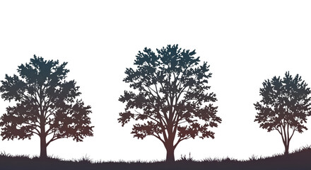 Abstract Silhouette Trees Illustration On Transparent Black Background