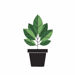 Stylized Potted Plant with Green Leaves and Black Pot, Flat Design