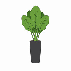 Vibrant Green Houseplant in Sleek Grey Pot
