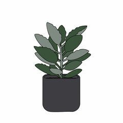 Stylized Potted Plant with Rounded Leaves and Dark Gray Pot Illustration