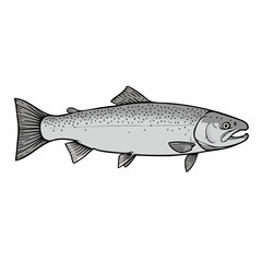 Detailed Illustration of a Silver Salmon with Distinctive Black Spots and Open Mouth