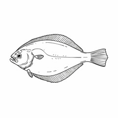 Detailed Line Drawing of a Flounder Fish