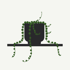 String of Pearls Plant in Dark Pot on Shelf