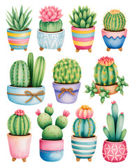 Colorful Cacti and Succulents in Decorative Pots