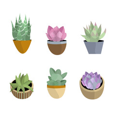 Succulent Plant Vector Set Collection Illustration