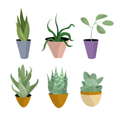 Indoor Potted Plant Botanical Vector Set Collection Illustration