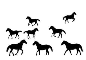 Abstract Illustration With Dynamic Lines On Transparent Black Background