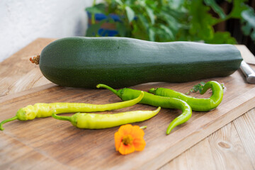 Zucchini vom Minigarten auf dem Balkon
