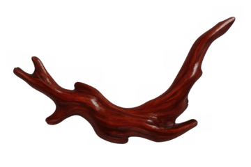 Polished redwood driftwood displaying rich crimson hue, highlighting natural wood grain texture against transparent backdrop