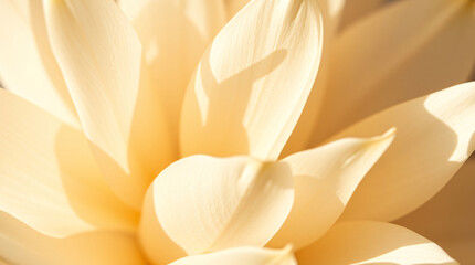 Close-up of a vibrant orange flower with intricate details and delicate petals.
