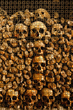 Skull behind wire mesh in a dark Chapel as a symbol of transience and Memento mori - the fascination of the macabre - ossy San Bernardino alle Ossa, Milan, Italy
