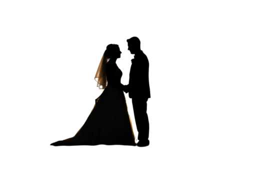 Bride Silhouette Wedding Photo in Dark Night with Evening Light