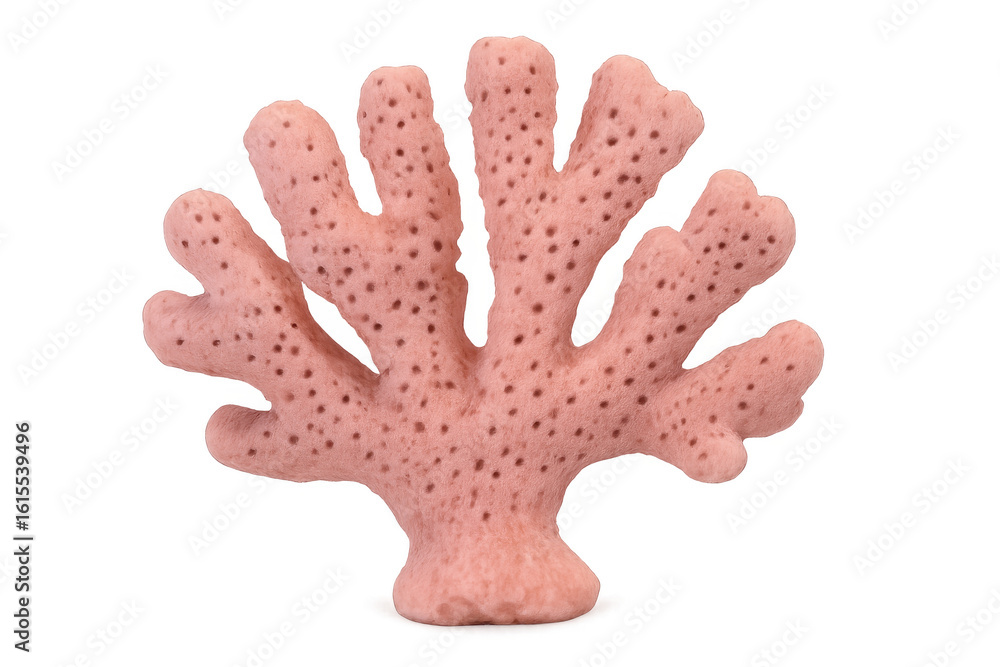 Poster studio shot of pink coral branch isolated on transparent background, showcasing its unique texture a