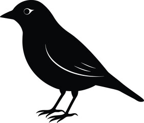 Fototapeta premium black silhouette a bird on white background.eps