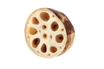 a close up of a seed of a plant