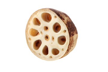 a close up of a seed of a plant