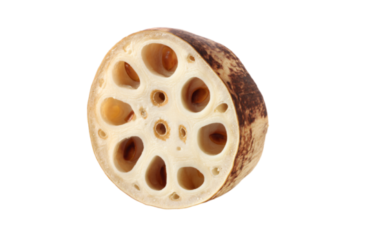 a close up of a seed of a plant