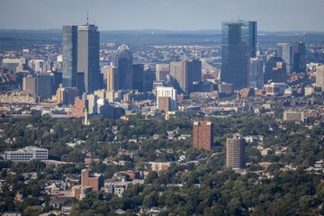 Fototapeta premium Boston skyline with skyscrapers and greenery.