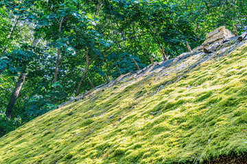 Ancient thatched roof village nestled in nature, earthy tones contrasting with lush green and brown...