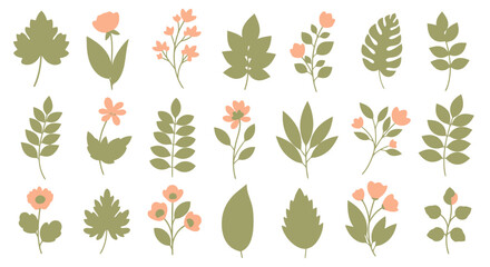 Flat Botanical & Floral Collection
