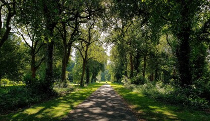 Obraz premium Sun-drenched path through a lush park