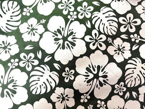 Fototapeta Tropical Hibiscus Pattern with Monstera Leaf Design on Green Background