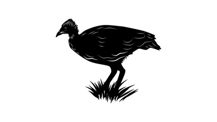 Biak Megapode bird, black isolated silhouette