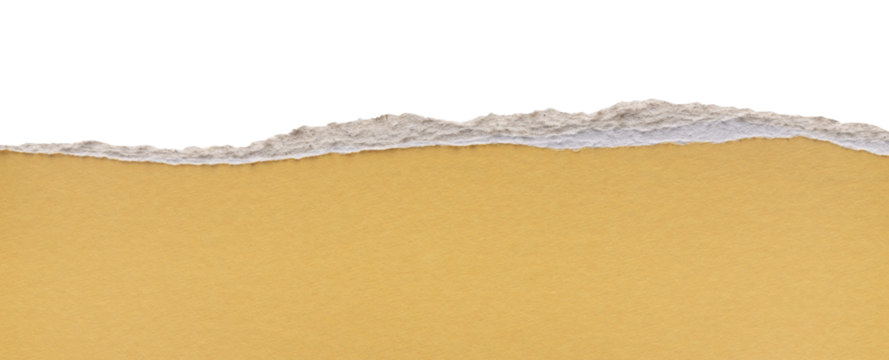 yellow torn blank pages with uneven texture edges. set of ripped yellow paper sheets png isolated on transparent background. document or newspaper mockup.