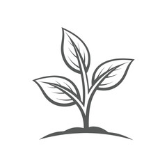 Simple gray plant sprout with three leaves on white background leaf growth