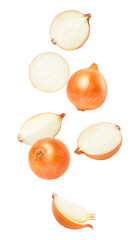 onion isolated on transparent background.