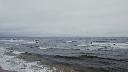 Sea view from the drone. A flock of birds flies over the waves