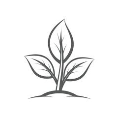 Simple stylized plant sprout with three leaves on a white background growth leaf