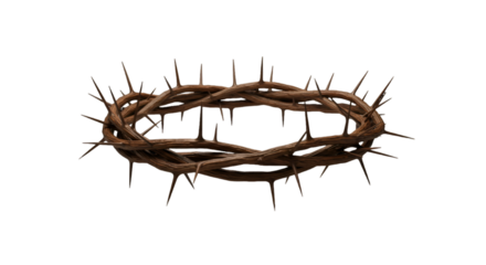 Detailed Illustration Of Brown Crown Of Thorns On Transparent Background