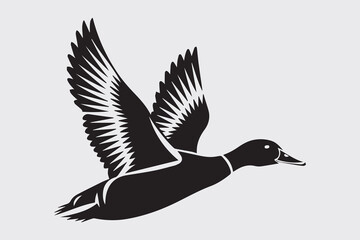  flying duck illustration vector