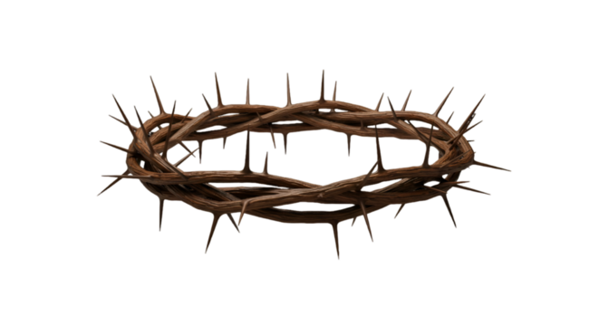 Detailed Illustration Of Brown Crown Of Thorns On Transparent Background