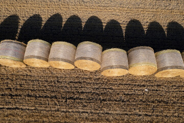 Golden hay bales in the sun, the essence of the countryside