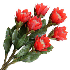 Vibrant Red Schlumbergera Flowers