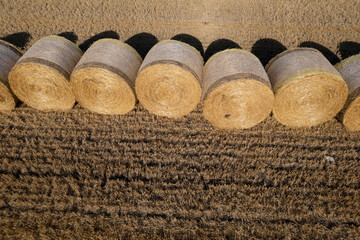 Golden hay bales in the sun, the essence of the countryside