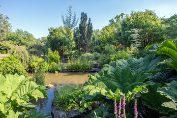 Regent's Park im Sommer in London