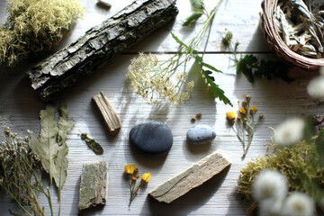 A captivating collage showcases various plants, flowers, and natural textures arranged on a wooden surface, creating a wild garden atmosphere ideal for inspiration and design ideas
