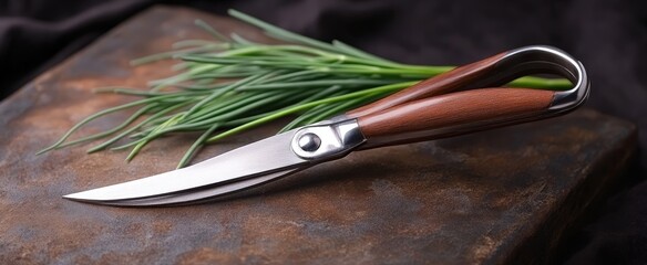 Herb Scissors with Wooden Handles and Fresh Chives on Rustic Surface