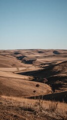 Vast rolling hills stretch across the Great Plains habitat, featuring dry grasses and a clear blue sky. Shadows cast by the terrain highlight the natural beauty of this expansive region