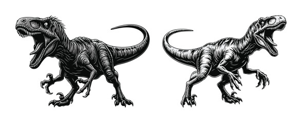 Two aggressive roaring raptor dinosaurs vector illustration